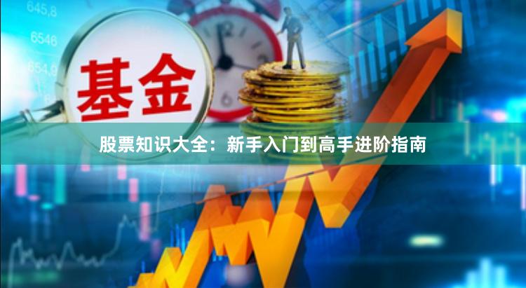 股票知识大全：新手入门到高手进阶指南
